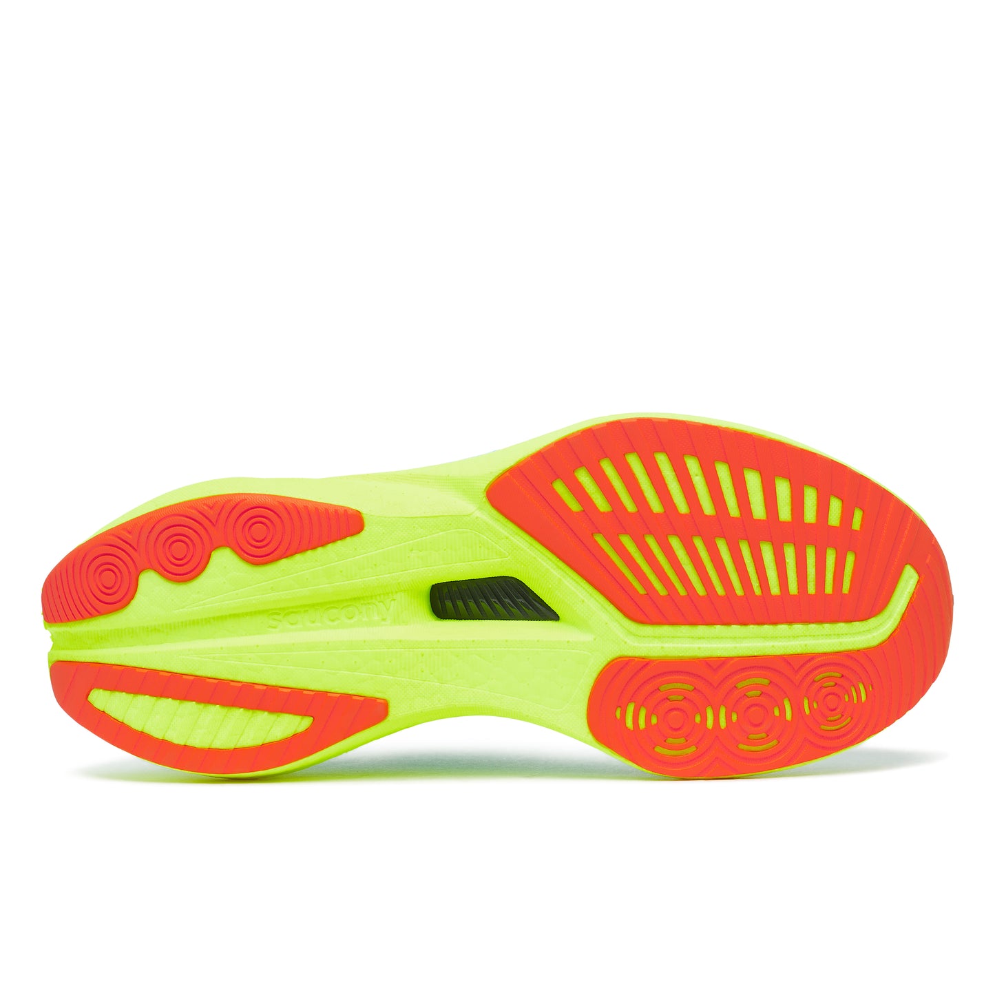 スプラッシュ/シトロン