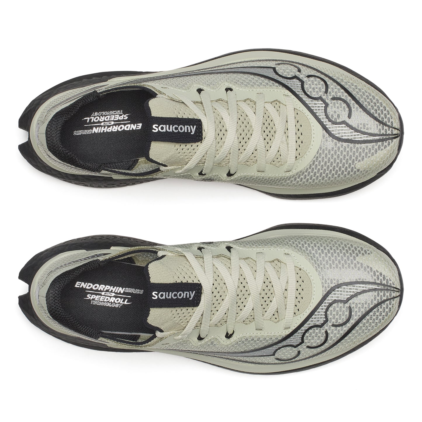 バーチ／ブラック